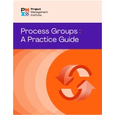 Process Groups: A practice guide by PMI